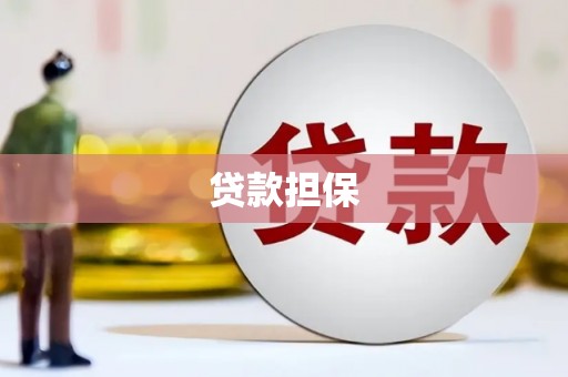 安图贷款担保