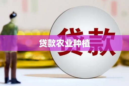 安图贷款农业种植