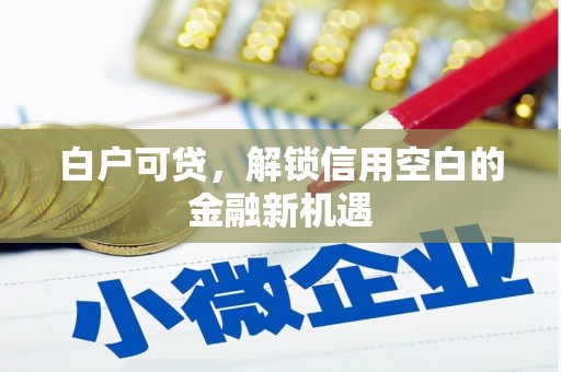 安图白户可贷，解锁信用空白的金融新机遇
