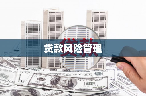 安图贷款风险管理
