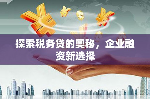 安图探索税务贷的奥秘，企业融资新选择