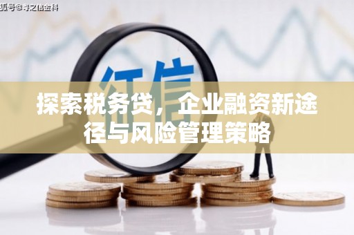 安图探索税务贷，企业融资新途径与风险管理策略