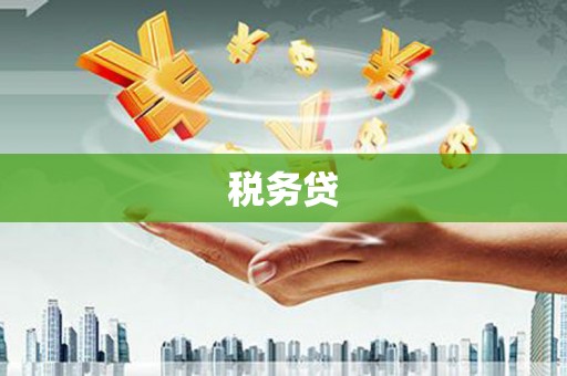 安图税务贷