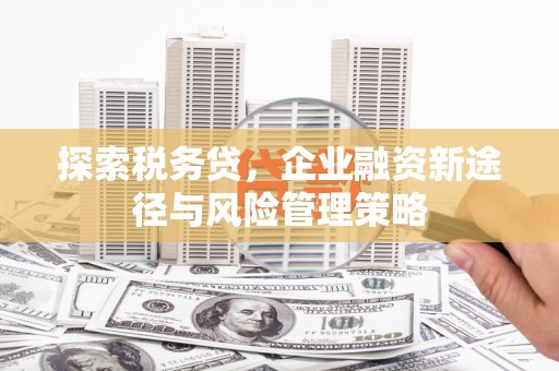 安图探索税务贷，企业融资新途径与风险管理策略