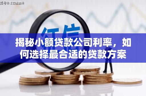 安图揭秘小额贷款公司利率，如何选择最合适的贷款方案