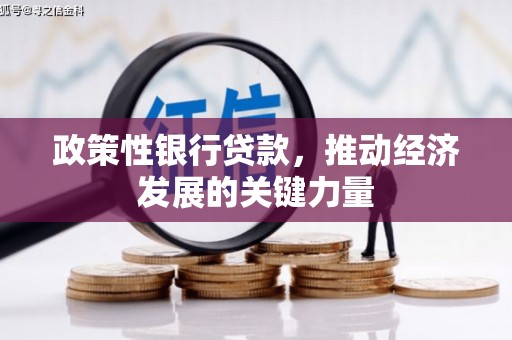 安图政策性银行贷款，推动经济发展的关键力量