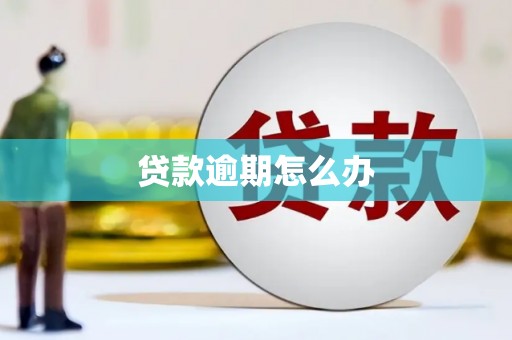 安图贷款逾期怎么办