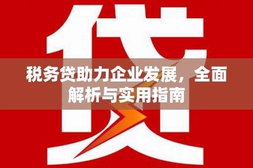 安图税务贷助力企业发展，全面解析与实用指南