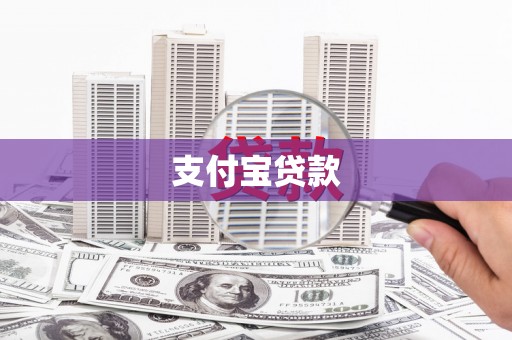 安图支付宝贷款
