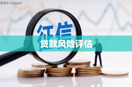 安图贷款风险评估