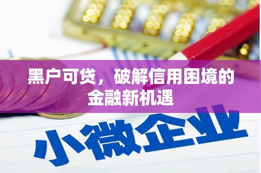 安图黑户可贷，破解信用困境的金融新机遇