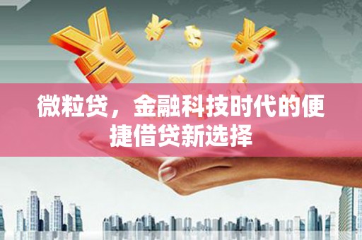 安图微粒贷，金融科技时代的便捷借贷新选择