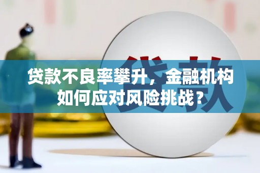 安图贷款不良率攀升，金融机构如何应对风险挑战？