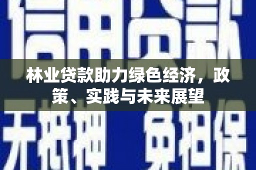 安图林业贷款助力绿色经济，政策、实践与未来展望