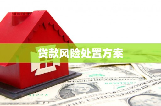 安图贷款风险处置方案