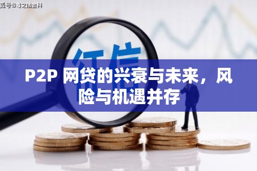 安图P2P 网贷的兴衰与未来，风险与机遇并存