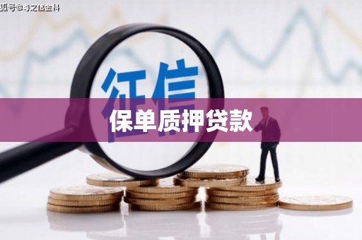 安图保单质押贷款