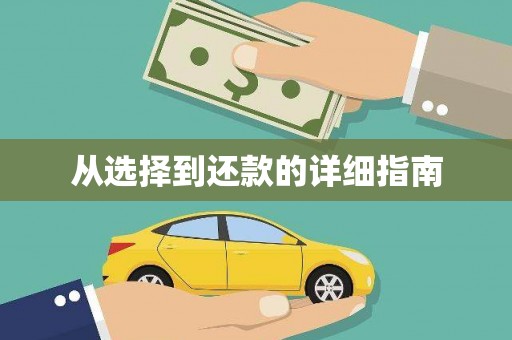 安图从选择到还款的详细指南