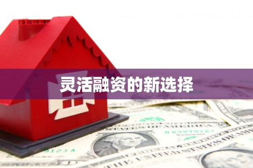 安图灵活融资的新选择