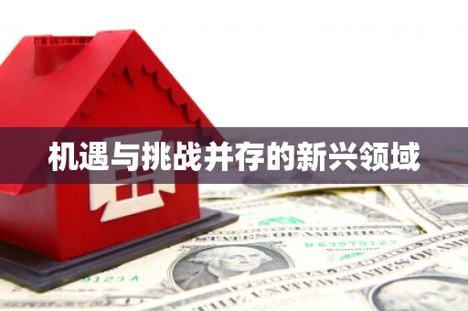 安图机遇与挑战并存的新兴领域