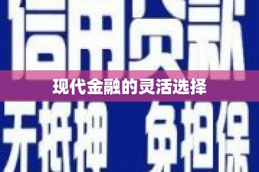 安图现代金融的灵活选择