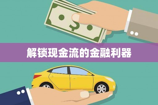 安图解锁现金流的金融利器
