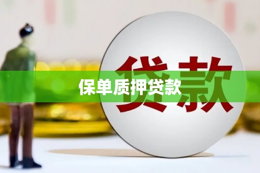 安图保单质押贷款