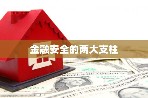 安图金融安全的两大支柱