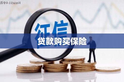 安图贷款购买保险