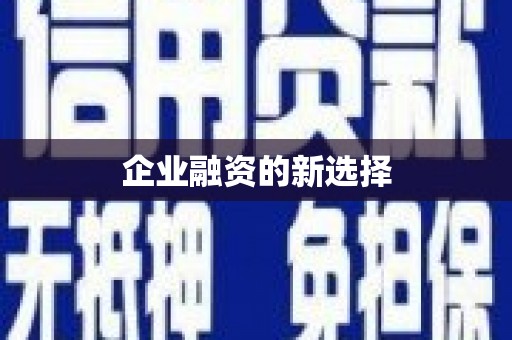 安图企业融资的新选择