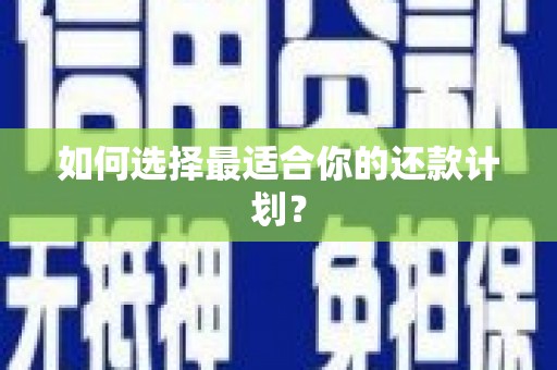 安图如何选择最适合你的还款计划？