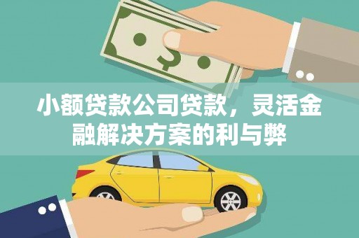安图小额贷款公司贷款，灵活金融解决方案的利与弊